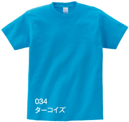 085-CVT ヘビーウェイトTシャツ